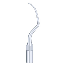 WOODPECKER_INSERT PD20