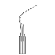 DTE WOODPECKER - Tip P5