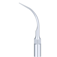 WOODPECKER_INSERT P7