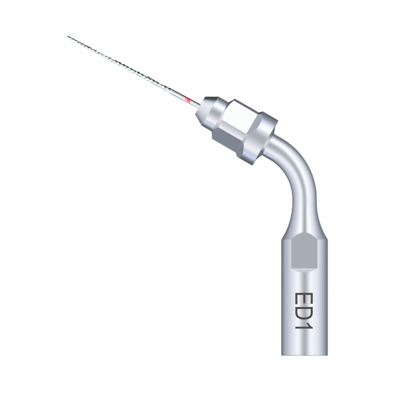 WOODPECKER_INSERT ED1 WOODPECKER_INSERT ED1