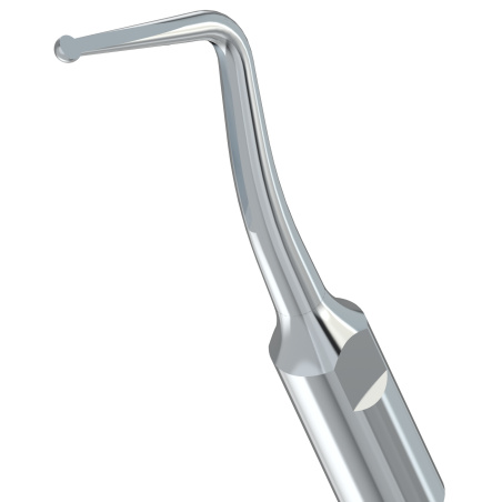 WOODPECKER_INSERT SBDR (EXR)