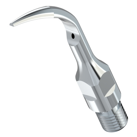 WOODPECKER_INSERT GS1