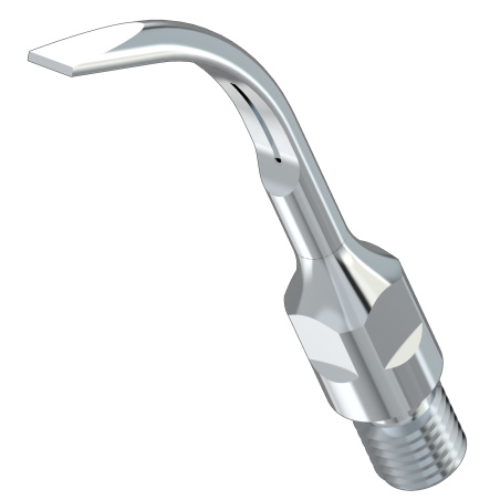 WOODPECKER_INSERT GS6