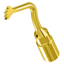 WOODPECKER_INSERT US1 (OT6)