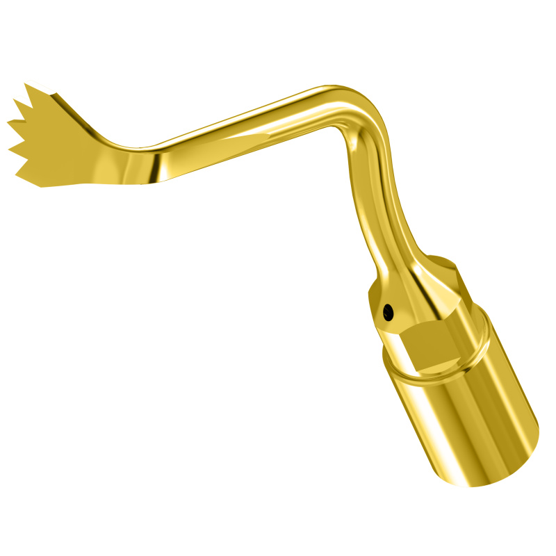 WOODPECKER_INSERT US1R WOODPECKER_INSERT US1R