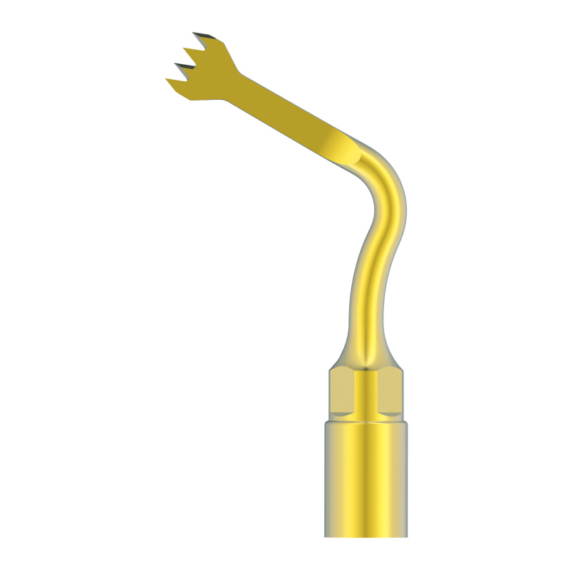 WOODPECKER_INSERT US2 (OT7)