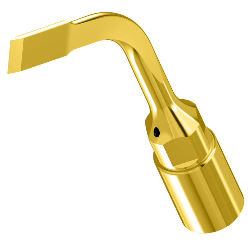 WOODPECKER_INSERT US3