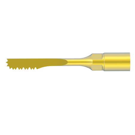 WOODPECKER_INSERT US13