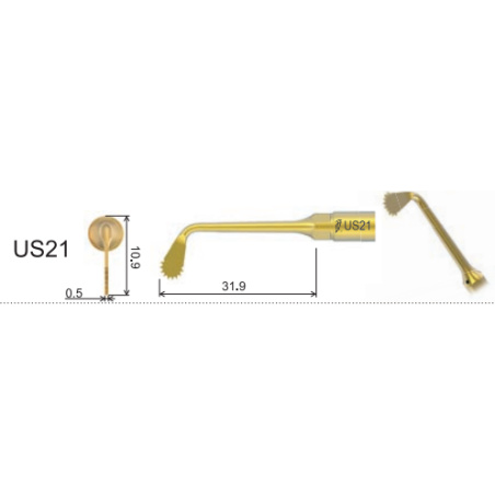 DTE WOODPECKER - Tip US21