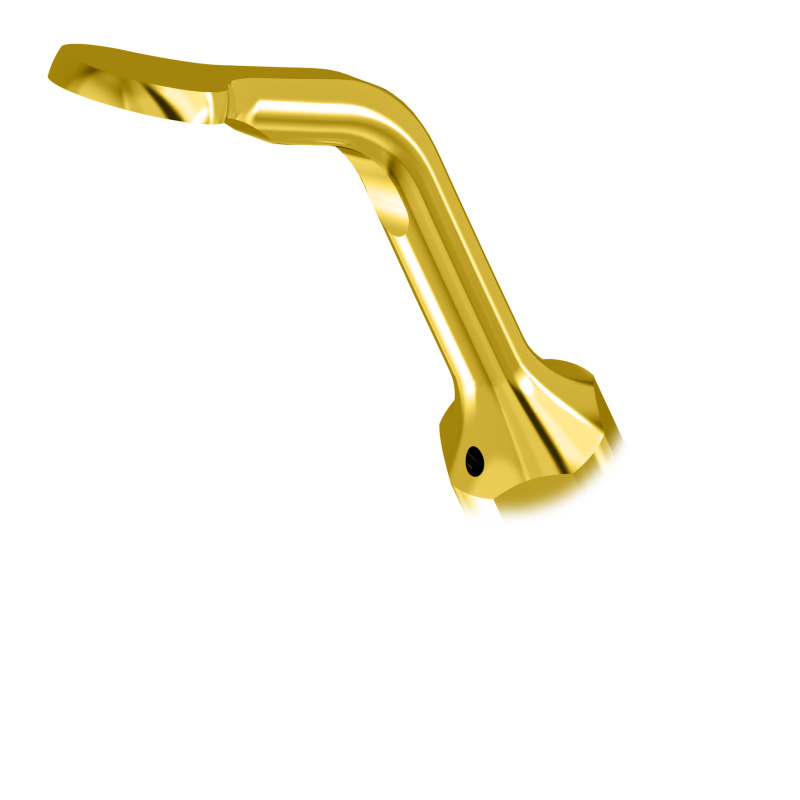 WOODPECKER_INSERT UL1