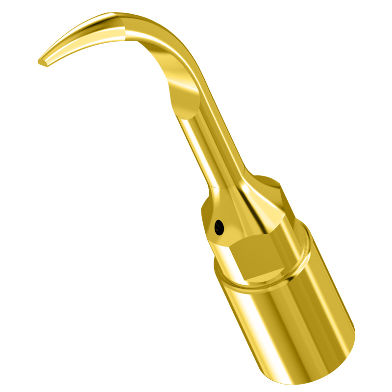 WOODPECKER_INSERT UP1