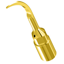 WOODPECKER_INSERT UP2