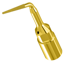 WOODPECKER_INSERT UP4