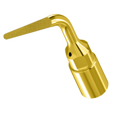 WOODPECKER_INSERT UP6