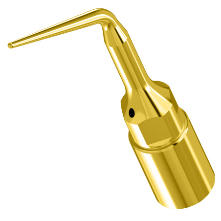 Insert Woodpecker & DTE