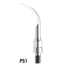 Insert Woodpecker & DTE