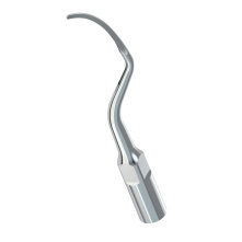 Insert Woodpecker & DTE