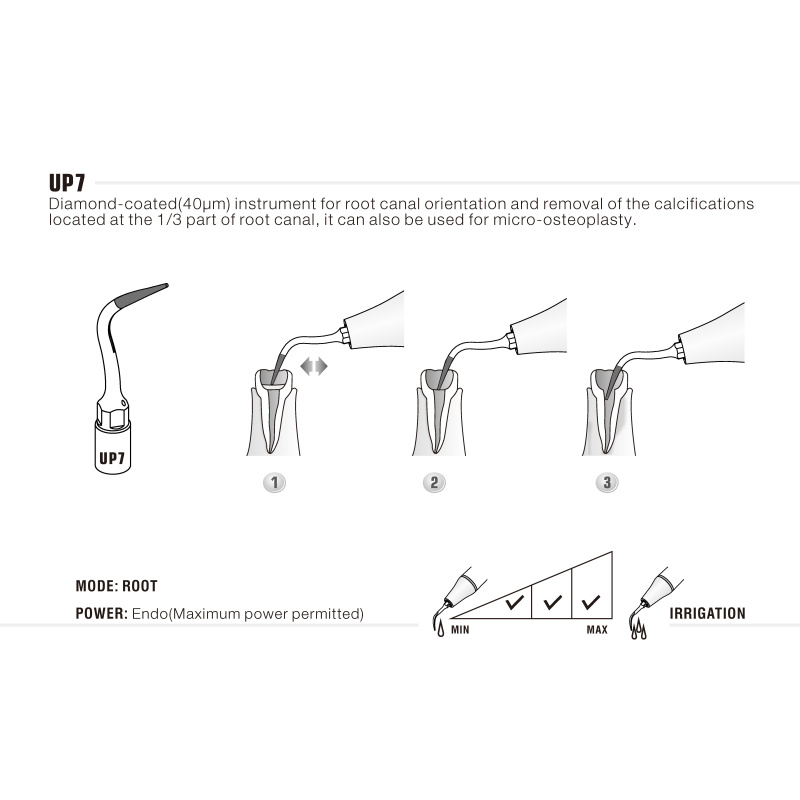 Insert Woodpecker & DTE