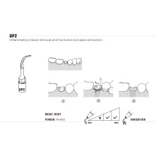 Insert WOODPECKER DTE - UP2 Insert WOODPECKER DTE - UP2