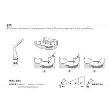 Insert Woodpecker & DTE