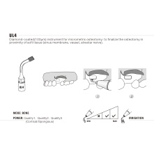Insert WOODPECKER DTE - UL4 Insert WOODPECKER DTE - UL4