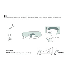 Insert WOODPECKER DTE - UL2 Insert WOODPECKER DTE - UL2