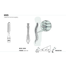 Insert Woodpecker & DTE