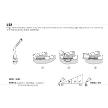 Insert Woodpecker & DTE