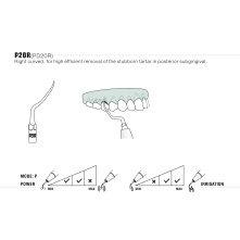 Insert WOODPECKER DTE - P20R Insert WOODPECKER DTE - P20R