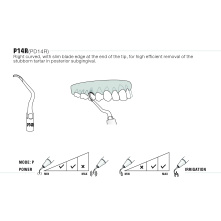 Insert Woodpecker & DTE