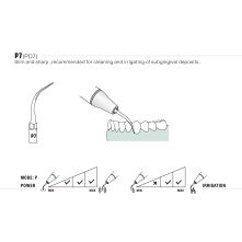 Insert WOODPECKER DTE - PD7 Insert WOODPECKER DTE - PD7