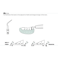 Insert WOODPECKER DTE - PD5 Insert WOODPECKER DTE - PD5