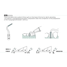 Insert Woodpecker & DTE