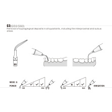 Insert Woodpecker & DTE GS3 Insert Woodpecker & DTE GS3