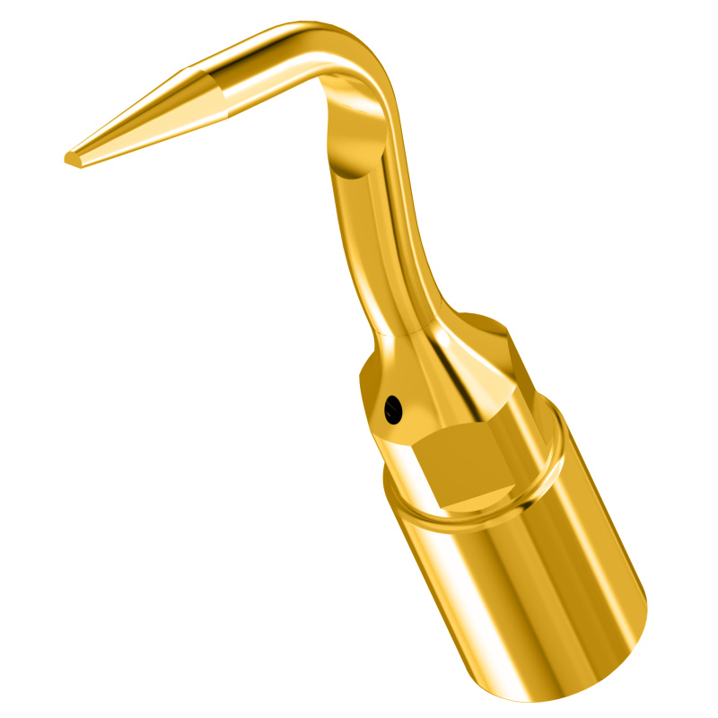 Insert Woodpecker & DTE