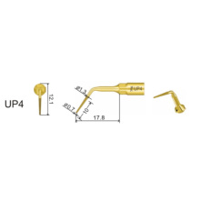 DTE WOODPECKER - Tip UP4