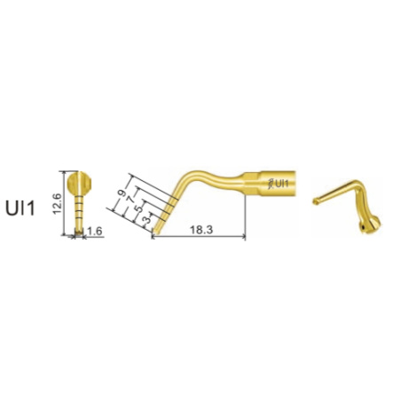 DTE WOODPECKER - Tip UI1