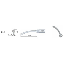 Insert Woodpecker & DTE GS7