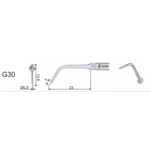 Insert Woodpecker & DTE GD30