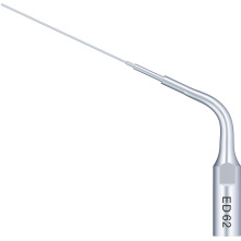 Insert Woodpecker & DTE