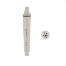 DTE WOODPECKER - Pièce à main HW-3H compatible EMS®