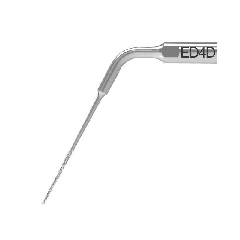 Insert Woodpecker & DTE