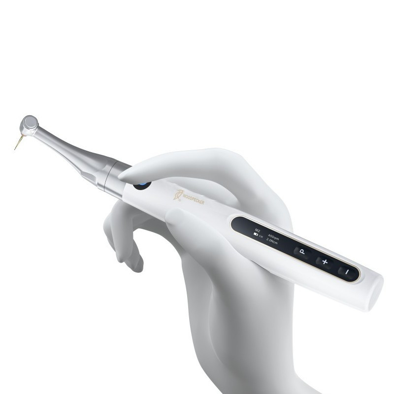 DTE WOODPECKER Endo Pace Endo motor