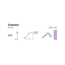 Insert dentaire extraction WOODPECKER DTE - SC6 - wamkey.com Insert dentaire extraction WOODPECKER DTE - SC6 - wamkey.com