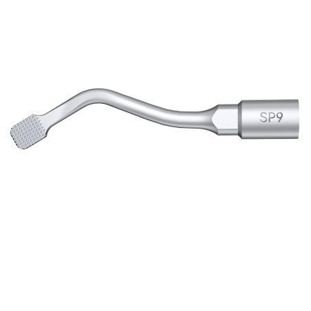 DTE WOODPECKER - INSERT SP9