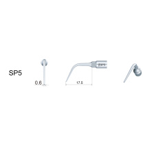 DTE WOODPECKER - Tip SP5