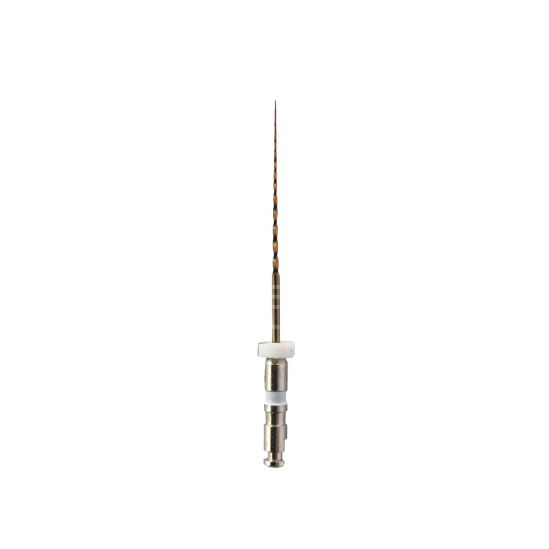 Refill endo files 03 GOLD Valdental by Rogin - WamKey.com