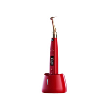 DTE WOODPECKER - Moteur AI-MOTOR + 2nd Contre-angle for FREE