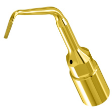 DTE WOODPECKER - Kit Endo Ultrasurgery compatible Mectron®/Woodpecker® UE1 UE2 UE3 UE4 US4