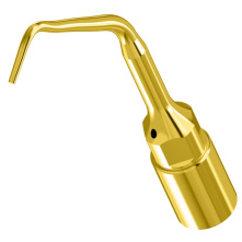 Kit ultrasurgery Piezo - DTE Woodpecker | Wamkey.com